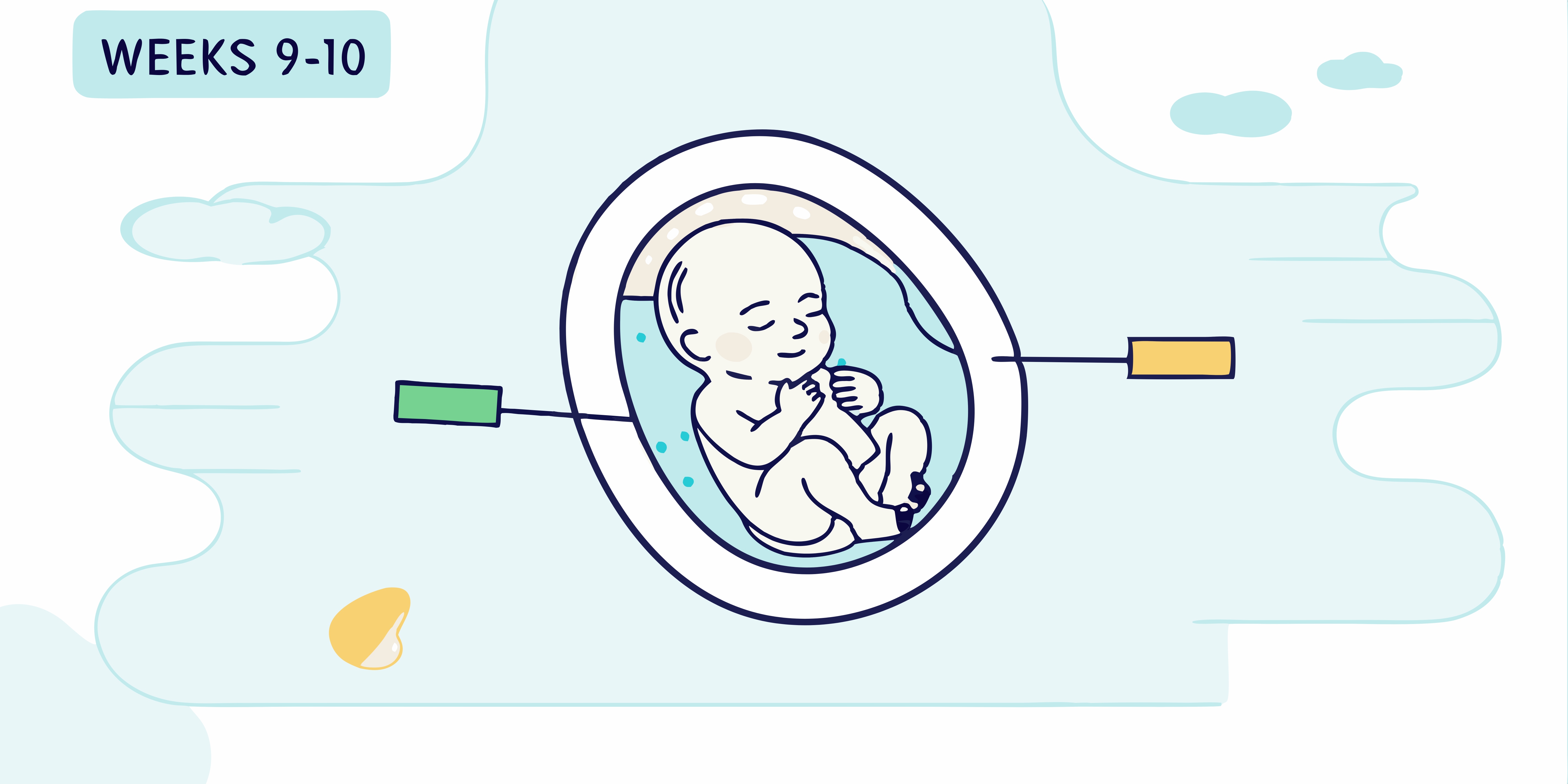 What to Expect in Weeks 9-10 of Pregnancy