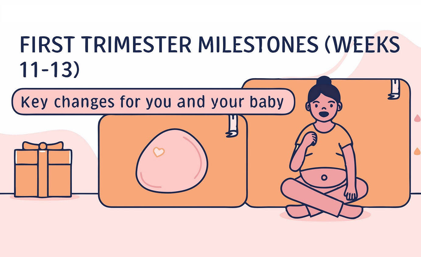 Weeks 11-13 of Pregnancy: Key Changes for Mom and Baby
